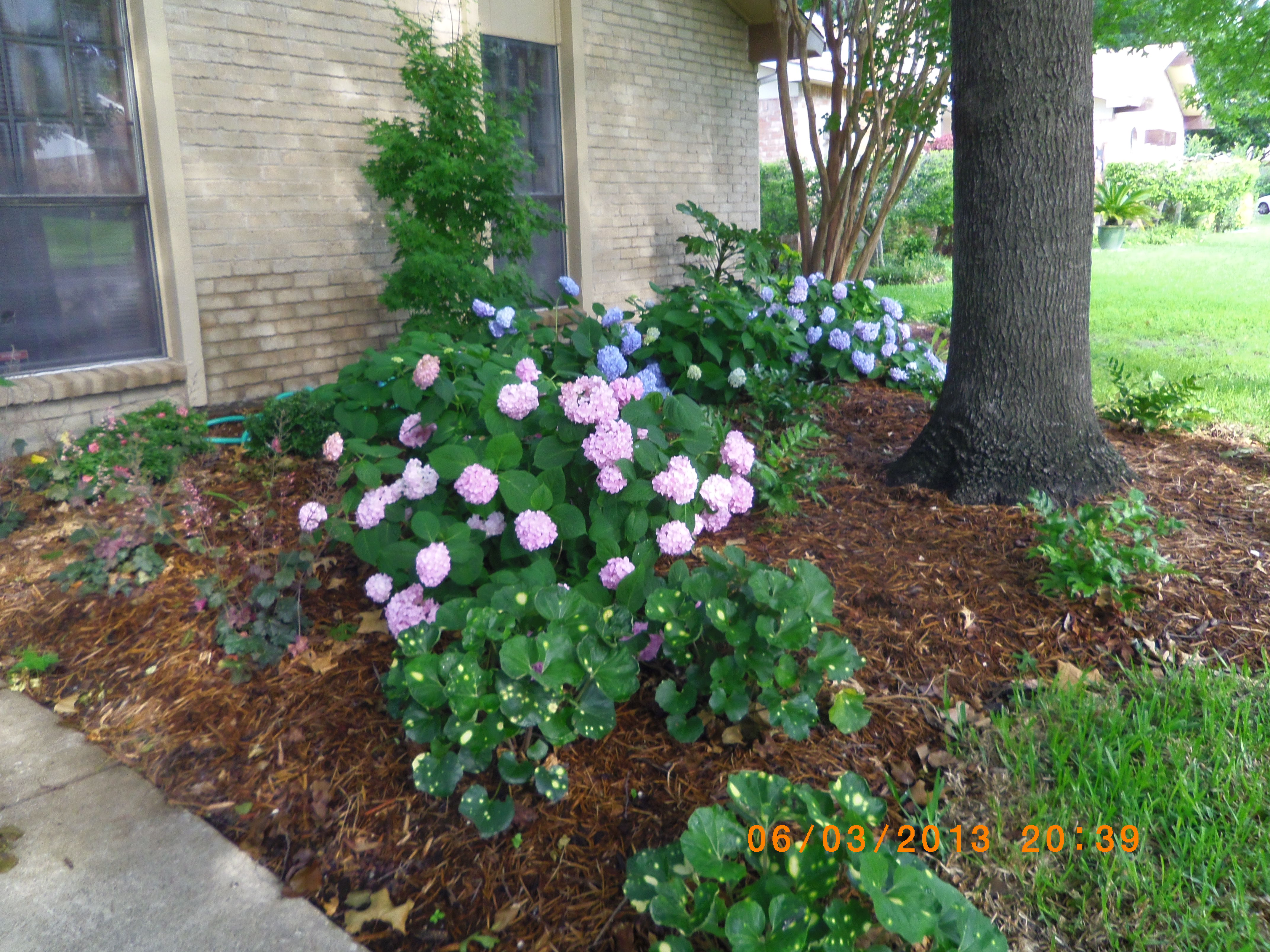 landscaping-2